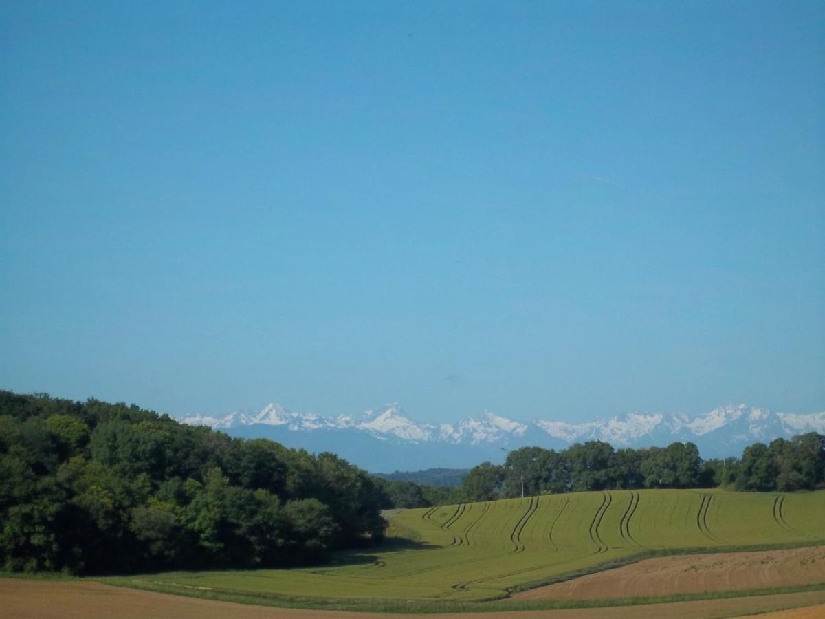 Villa Marcus Castelnau-Magnoac Buitenkant foto